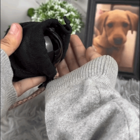 HoloSphere - The orb that captures your heart